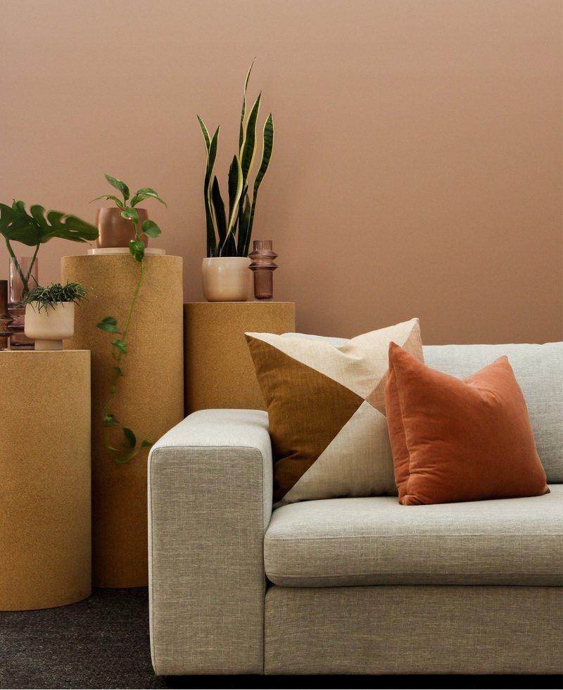 A cozy living room corner with a beige sofa and plants